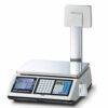 CAS CT100 Ticket Printing Scale