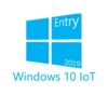Windows 10 IOT Enterprise OEI Entry 2019 (J1900)-0