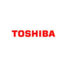 Toshiba Cable Display Port 1.8M Black-0